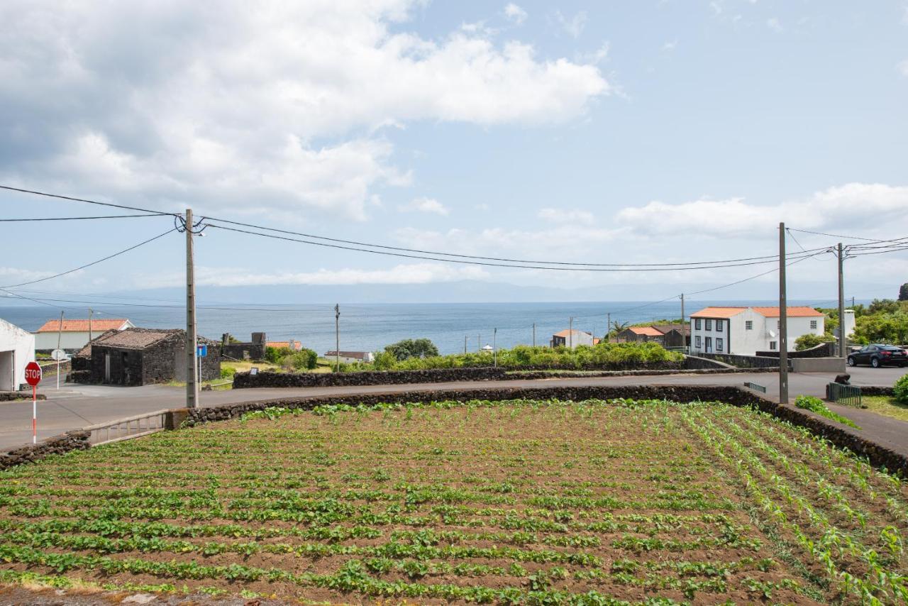 Prainha Apartments São Roque do Pico Zewnętrze zdjęcie